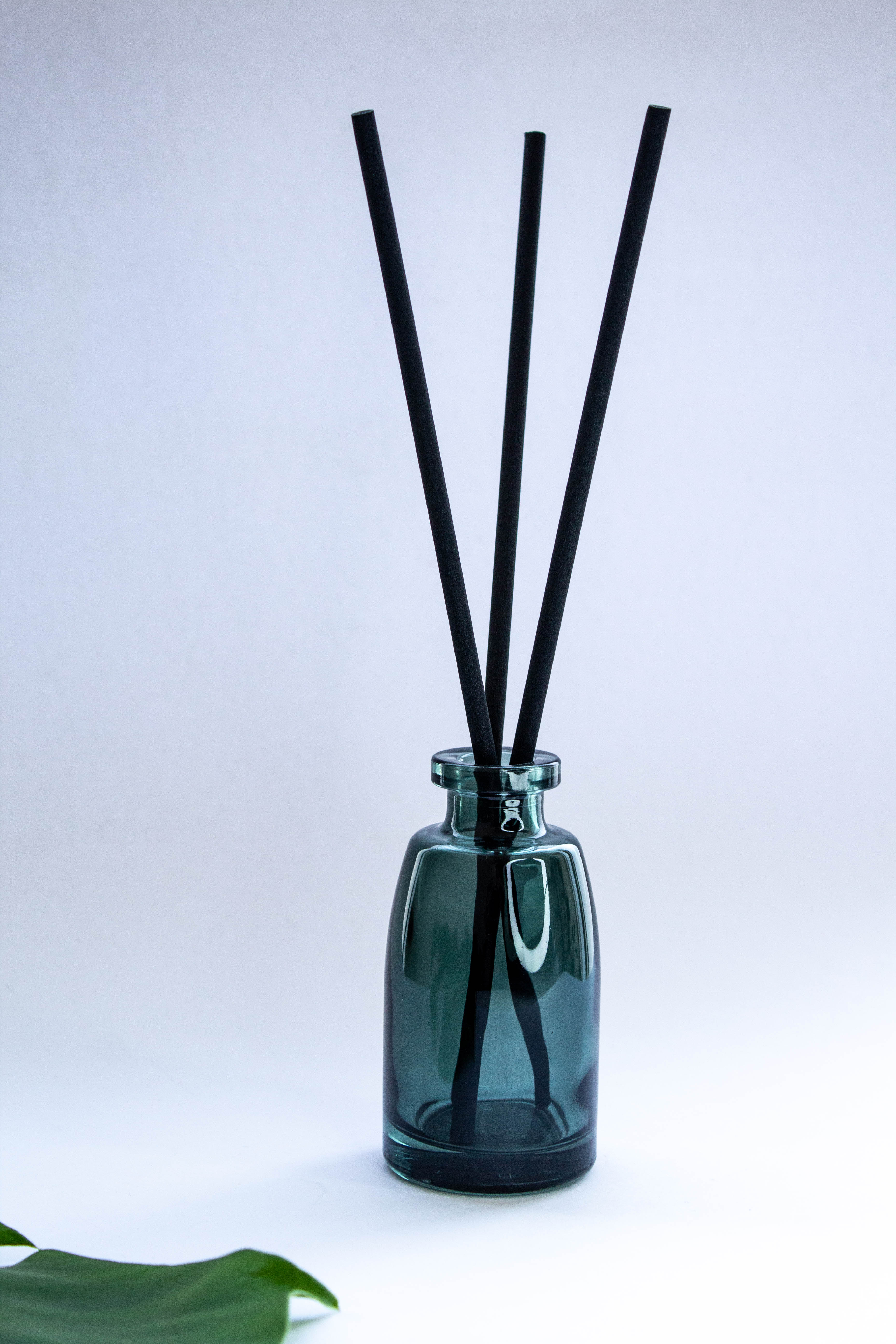 Αρωματικό Diffuser Χώρου 100ml με Sticks – Μακράς Διάρκειας