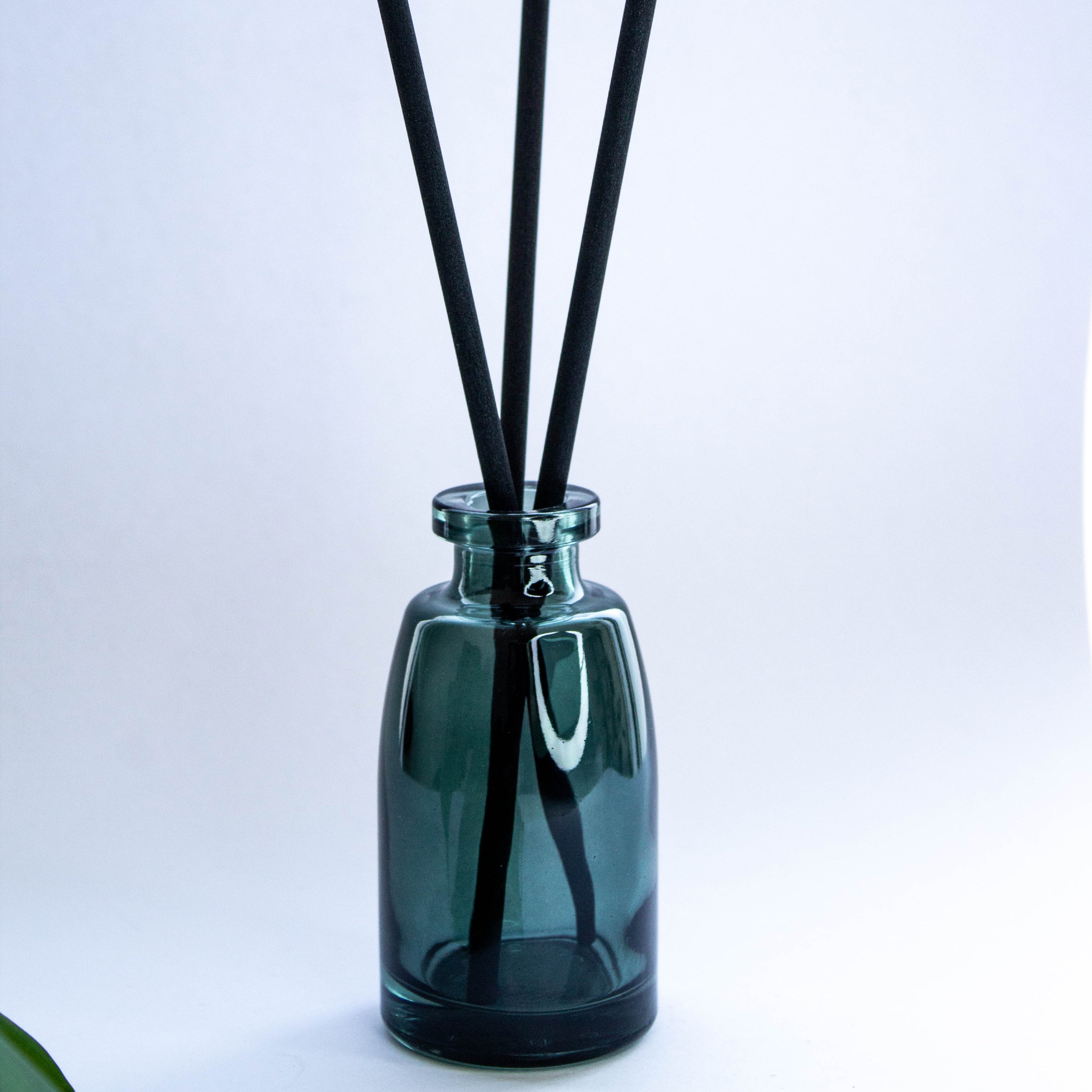 Αρωματικό Diffuser Χώρου 100ml με Sticks – Μακράς Διάρκειας