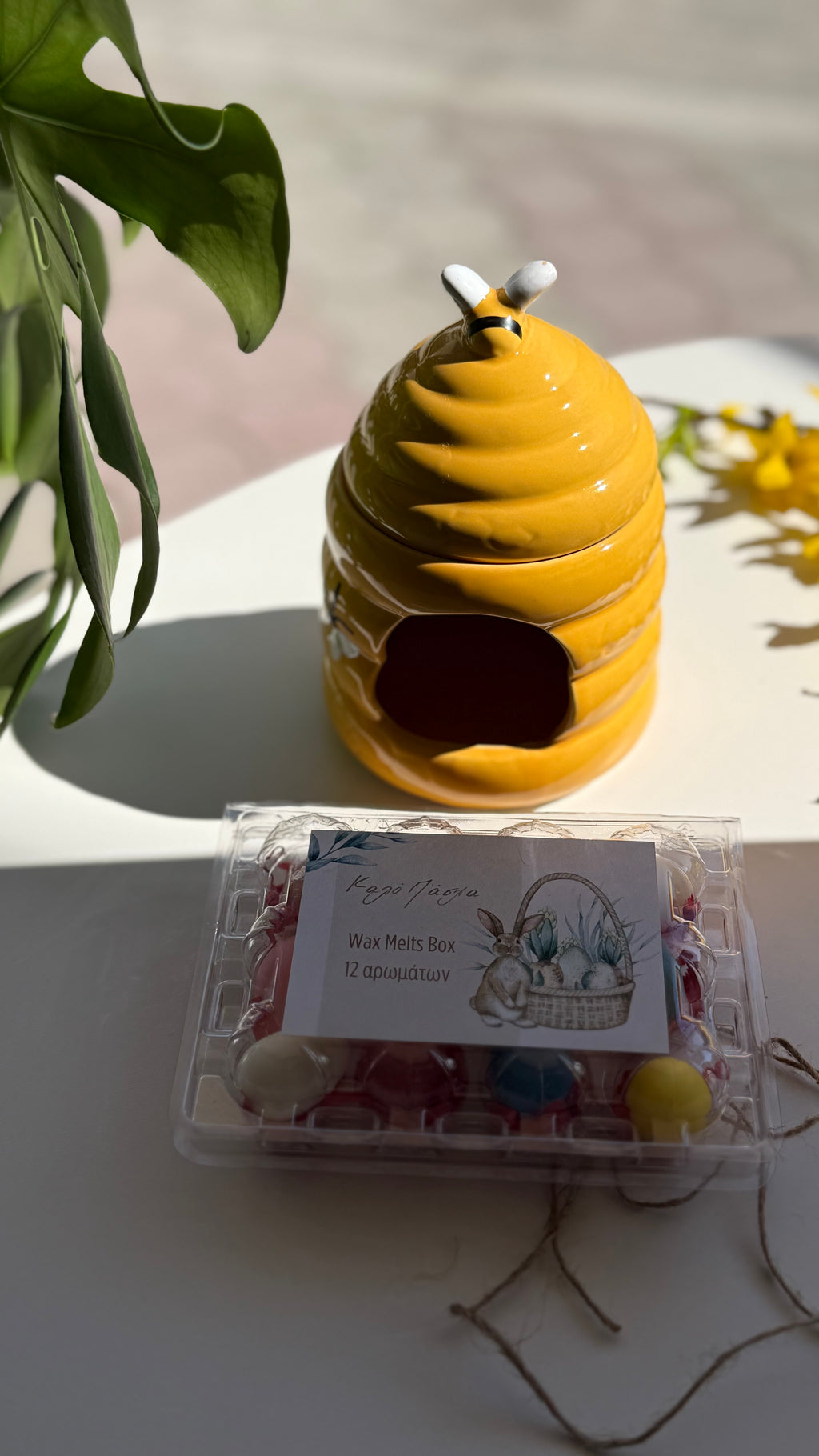 Desio Mystery Box